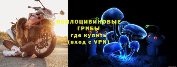 спиды Алексин